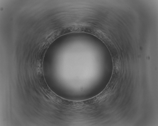 X0000074940964200609081347