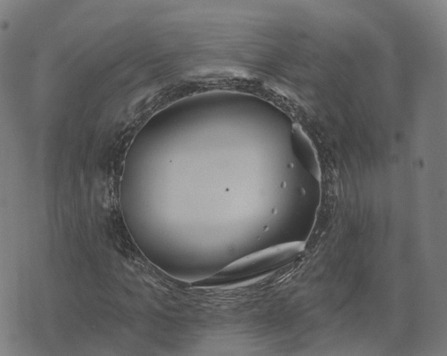 X0000074940965200609081347