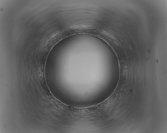 X0000074940966200609081347