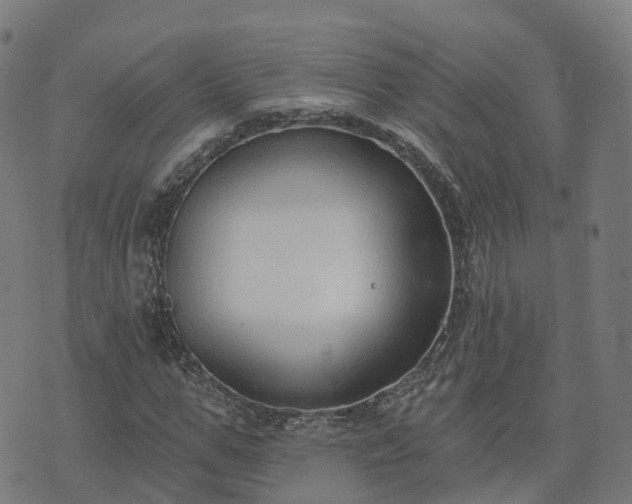 X0000074940967200609081347