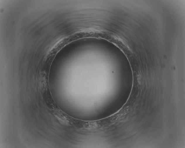 X0000074940968200609081347