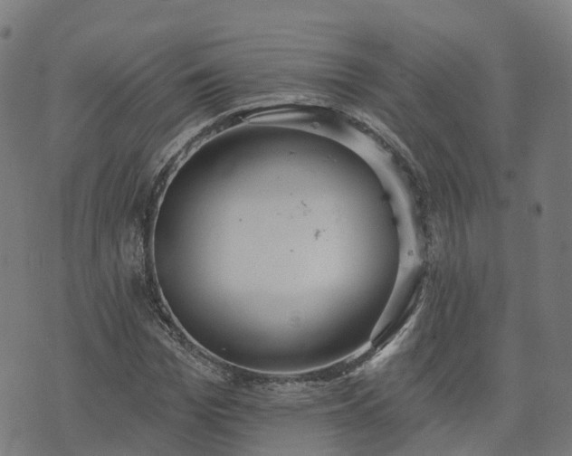 X0000074940969200609081347