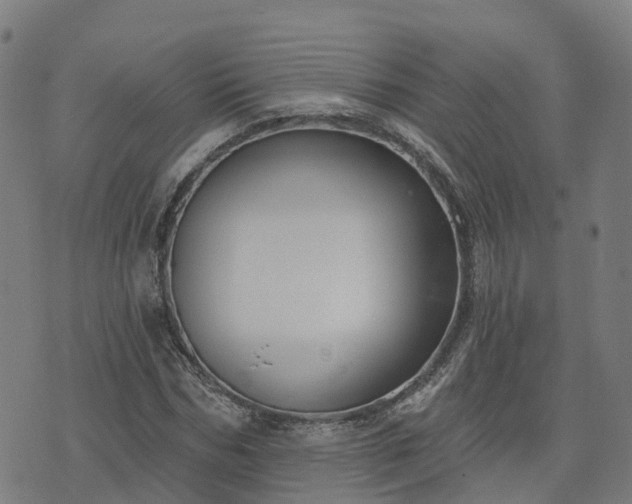 X0000074940970200609081347