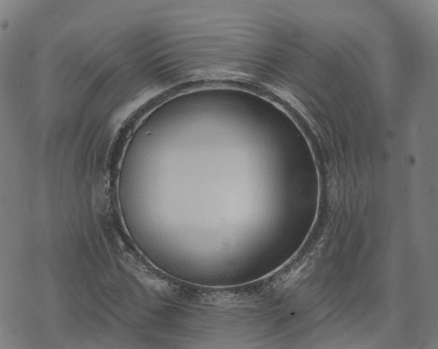 X0000074940971200609081347