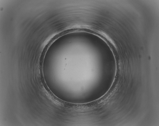 X0000074940972200609081347