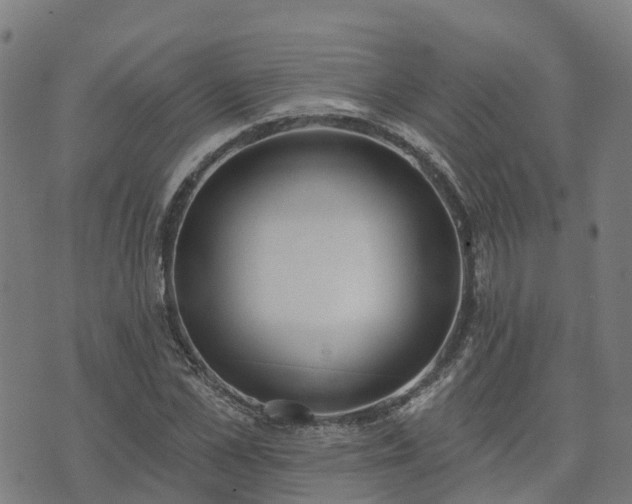 X0000074940973200609081347