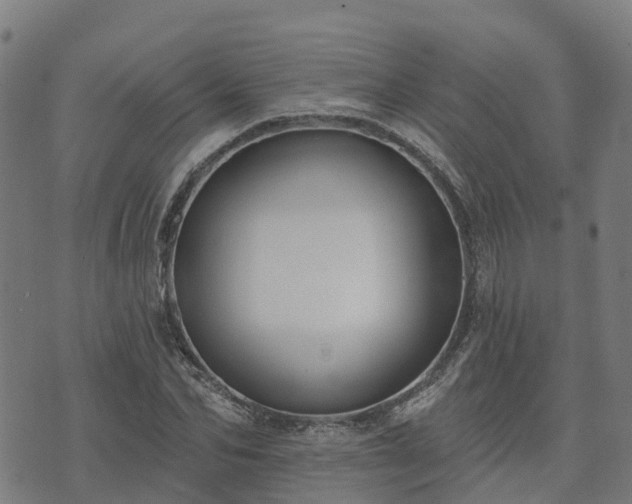 X0000074940974200609081347