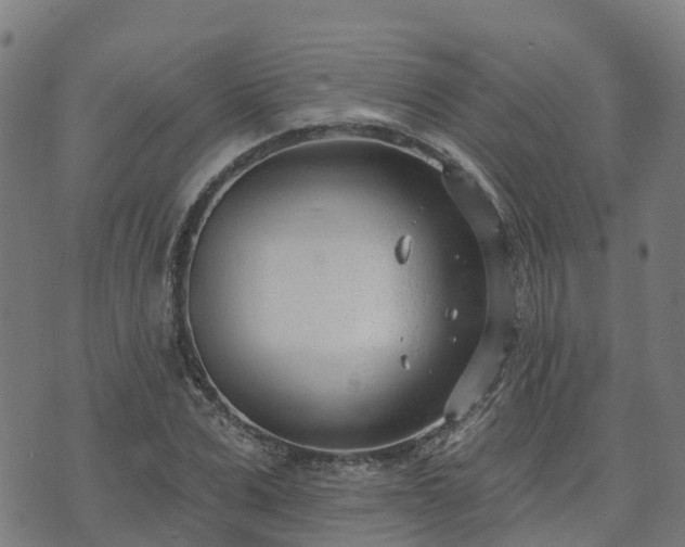 X0000074940975200609081347