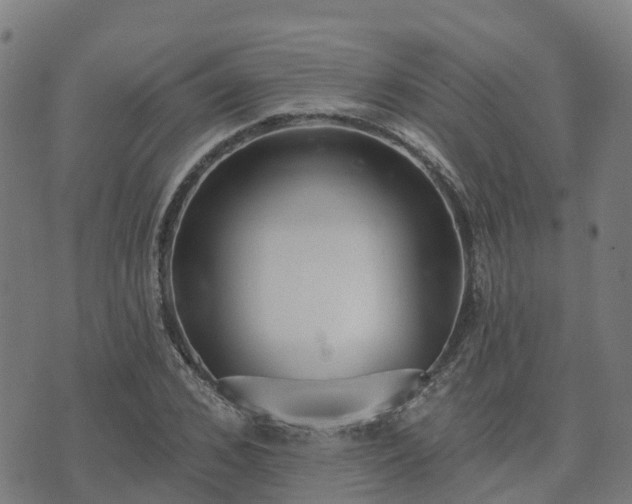 X0000074940976200609081347