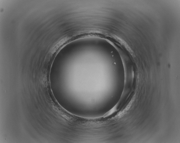 X0000074940977200609081346