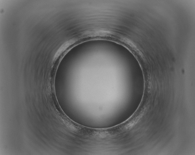 X0000074940978200609081346