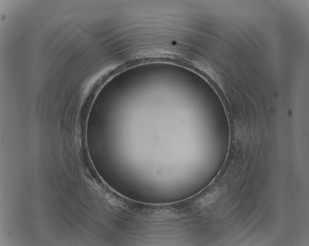 X0000074940979200609081346