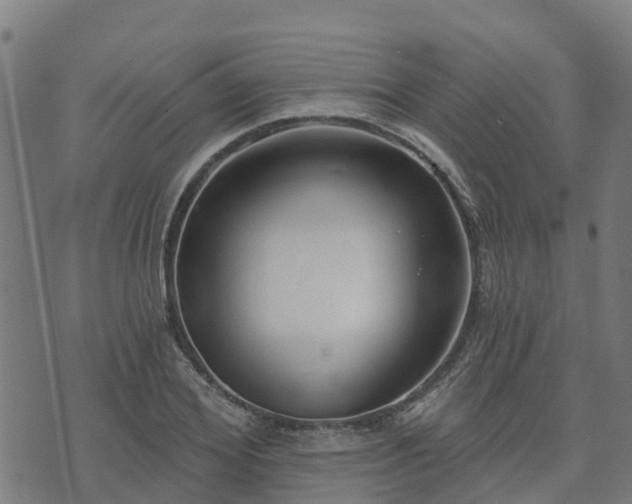 X0000074940980200609081346