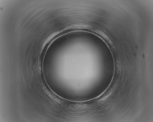 X0000074940981200609081346