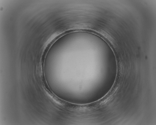 X0000074940982200609081346