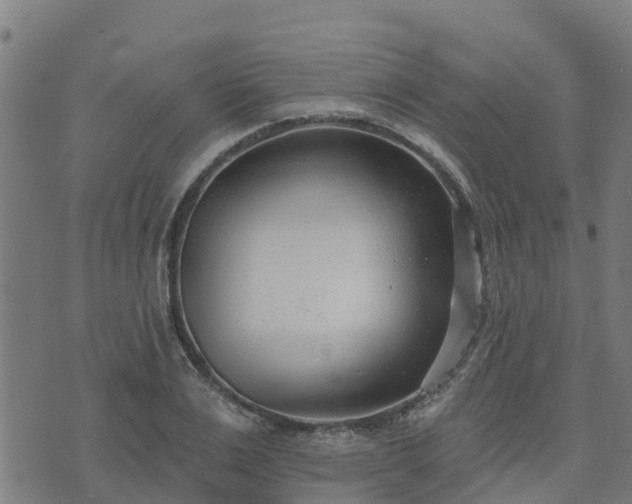 X0000074940983200609081346