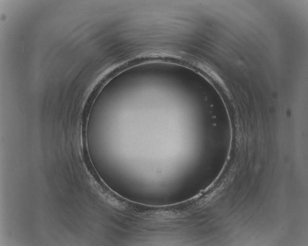 X0000074940984200609081346