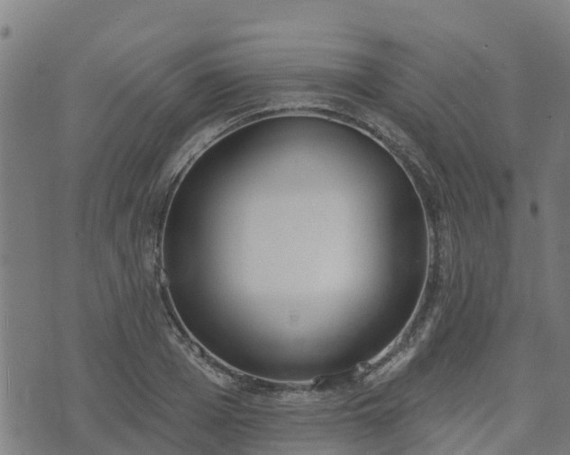 X0000074940985200609081346