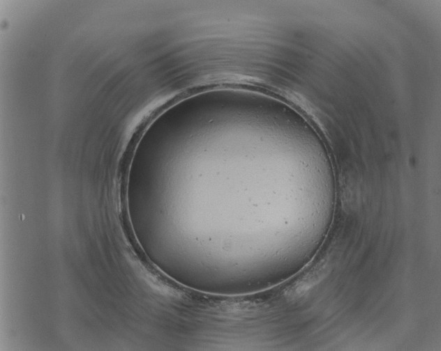 X0000074940987200609081346