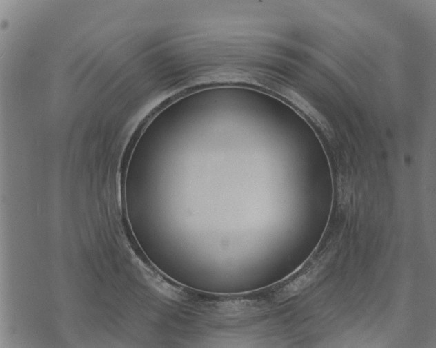 X0000074940988200609081346