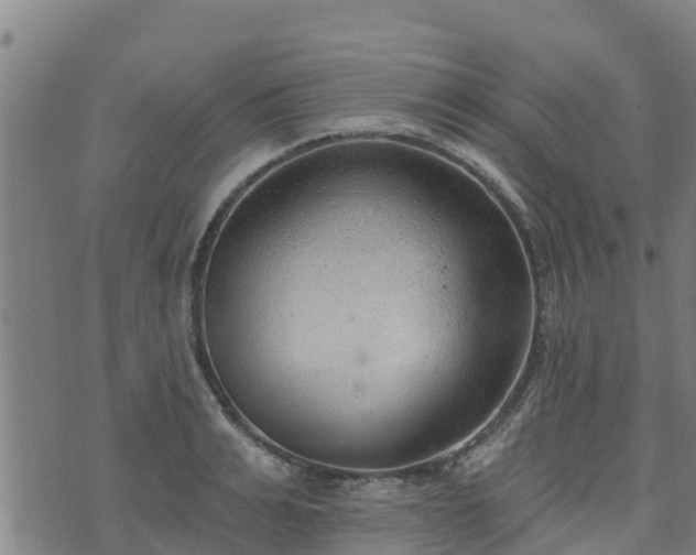 X0000074940991200609081346