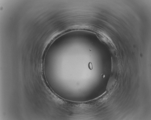 X0000074940992200609081346