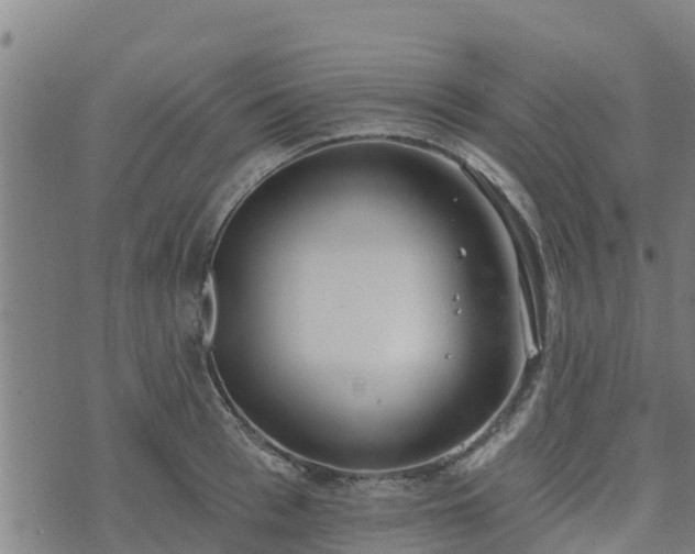 X0000074940993200609081346