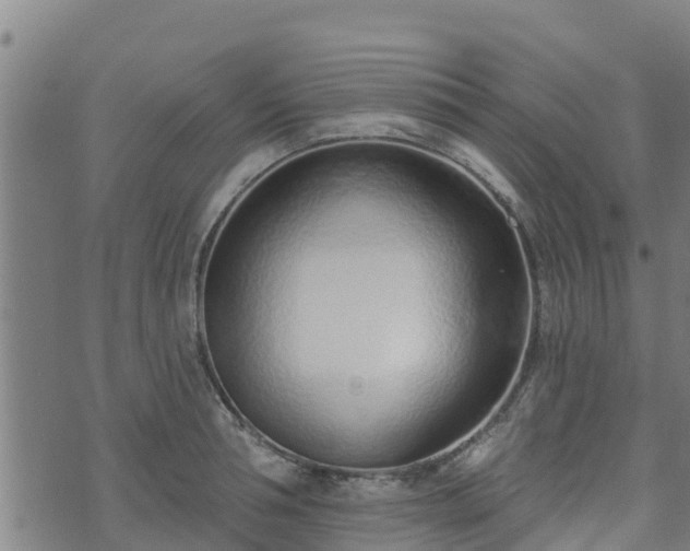 X0000074940994200609081346