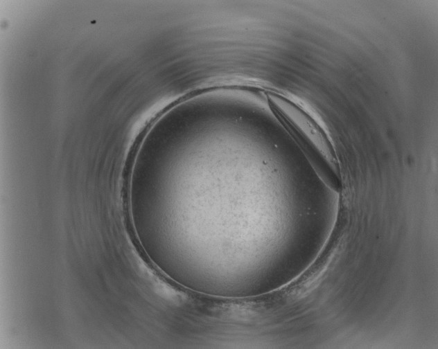 X0000074940995200609081346