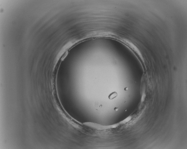 X0000074940997200609081346