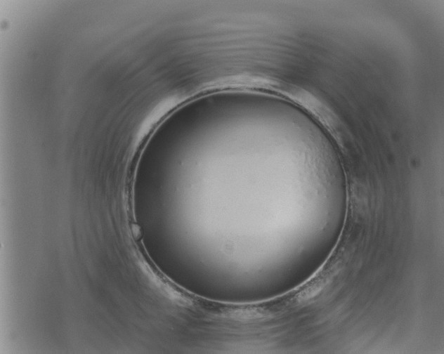 X0000074940998200609081346