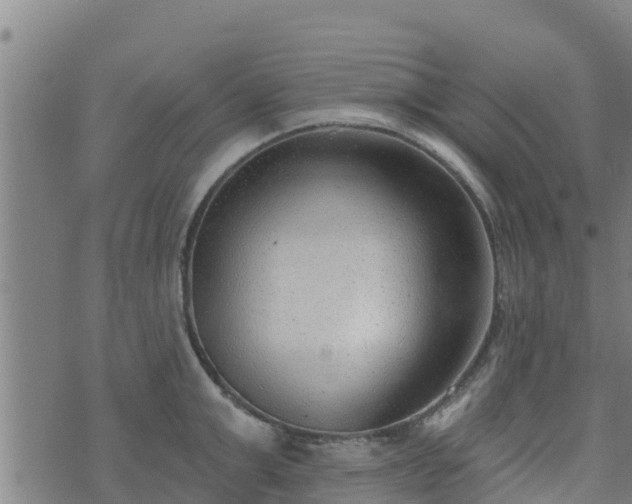 X0000074940999200609081346