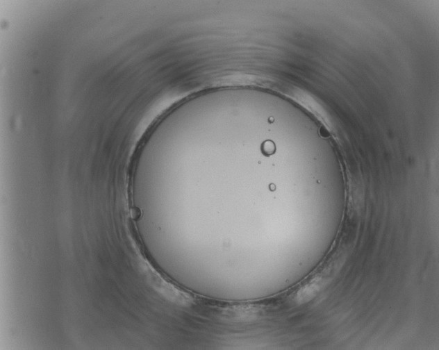 X0000074941000200609081346