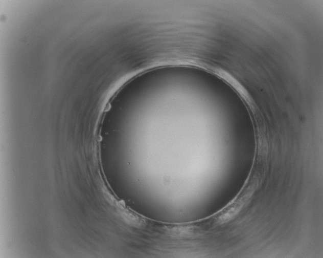 X0000074941004200609081346