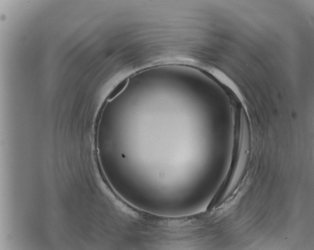 X0000074941005200609081346