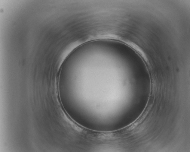 X0000074941006200609081346