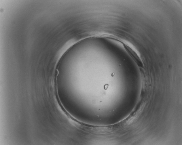 X0000074941007200609081346