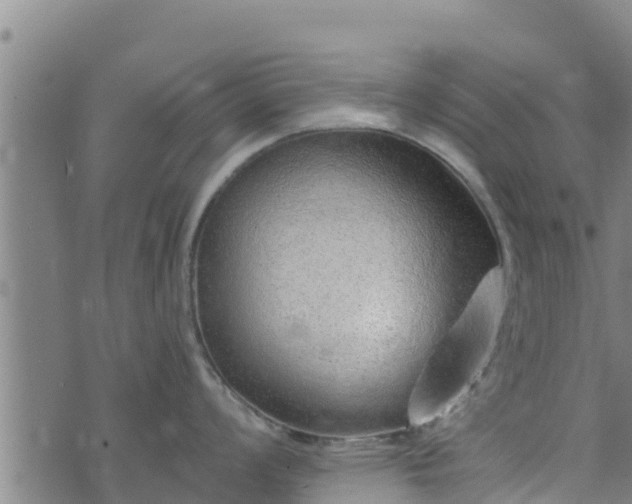 X0000074941008200609081346