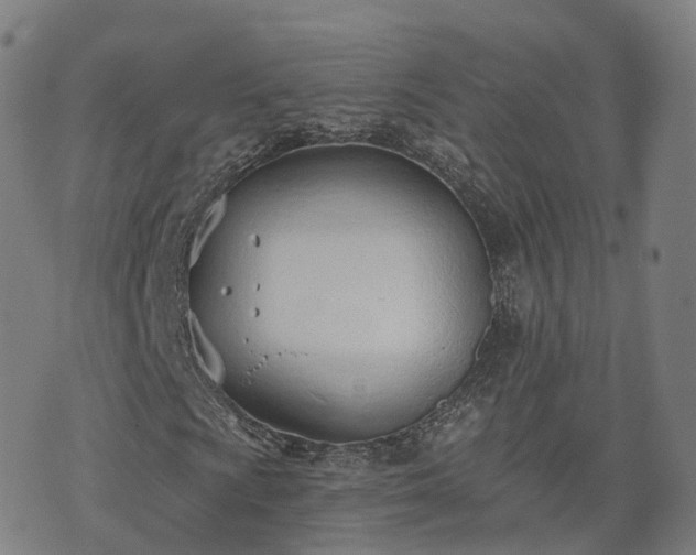 X0000074941009200609081345