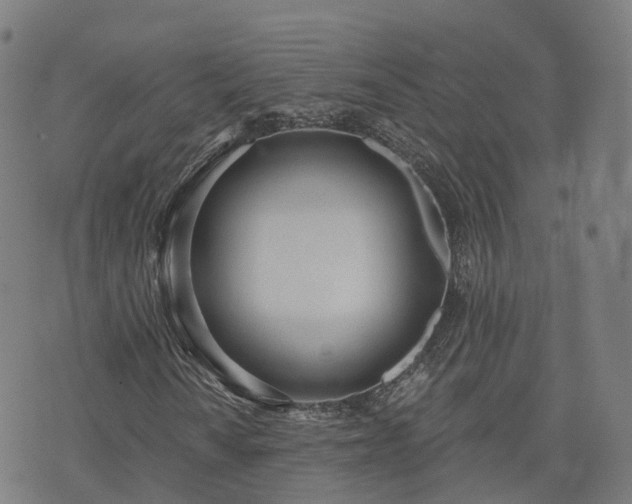 X0000074941010200609081345