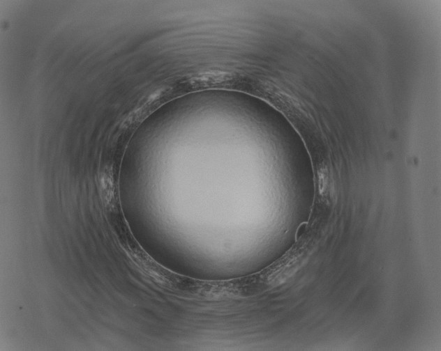 X0000074941011200609081345