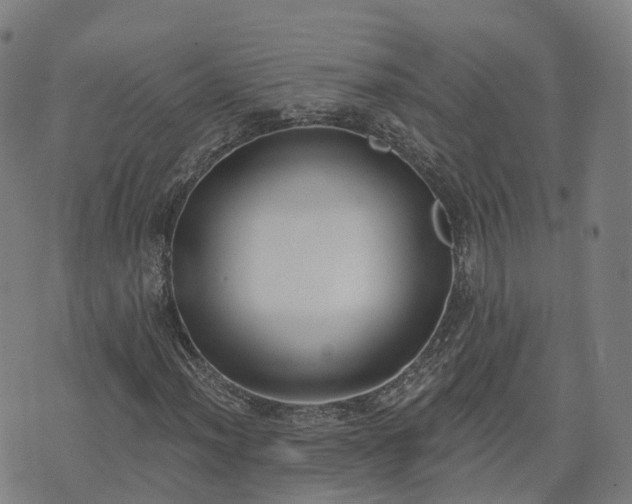 X0000074941012200609081345