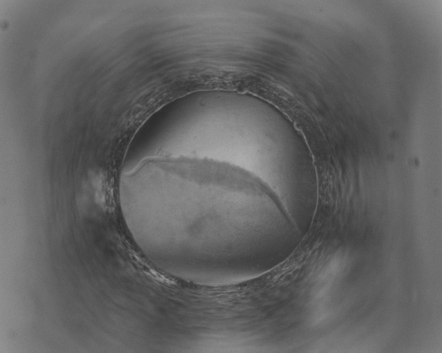 X0000074941013200609081345