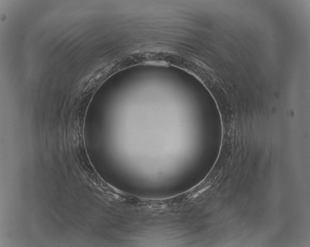 X0000074941014200609081345