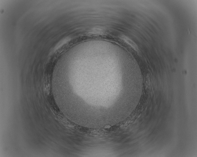 X0000074941015200609081345