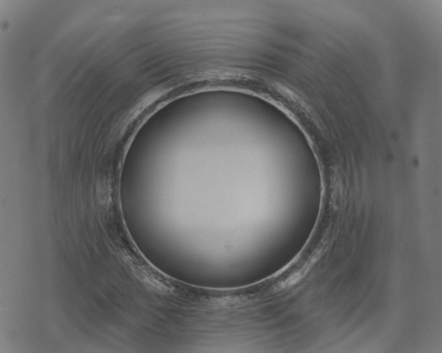 X0000074941017200609081345