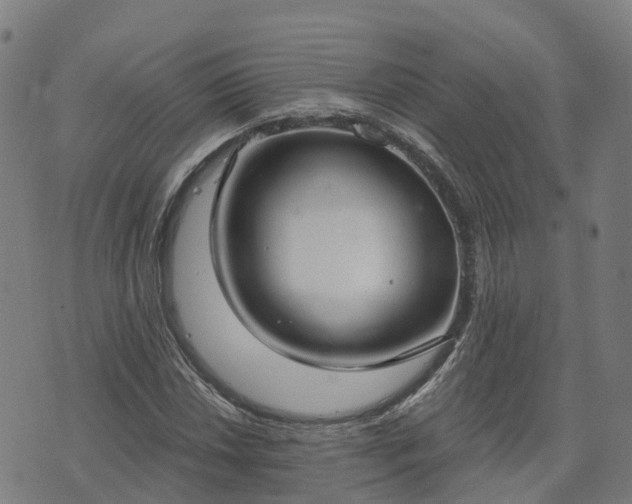 X0000074941018200609081345