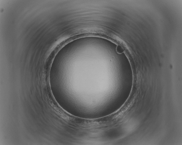 X0000074941019200609081345