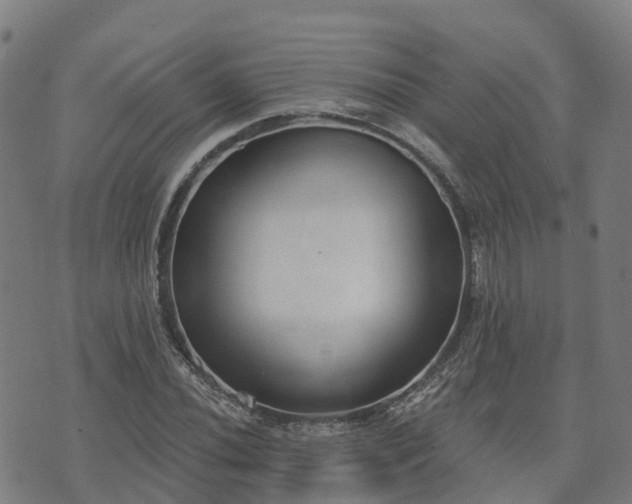 X0000074941020200609081345