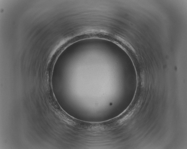 X0000074941021200609081345